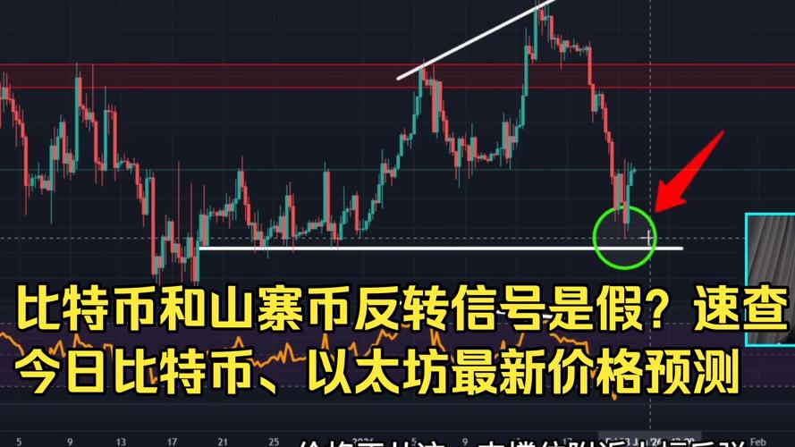 比特币山寨币怎么写：比特币 山寨币
