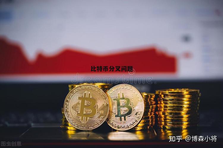 比特币支付btp分叉币：比特币分叉bch