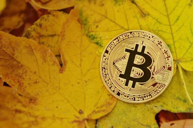 币印比特币挖矿模式：币印比特币挖矿模式有哪些