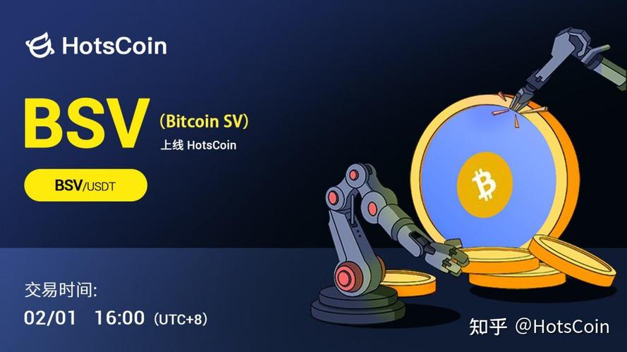 比特币sv是什么币：比特币sv是什么意思