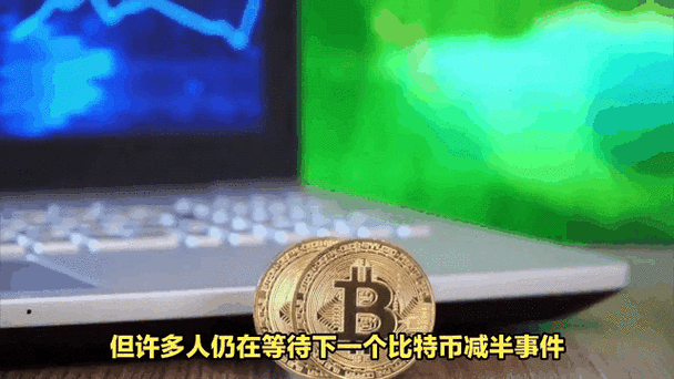 比特币成交量深度解析，市场动态与影响因素