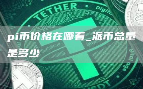 pi币价格在哪看_派币总量是多少