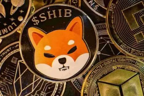 如何购买柴犬币到底能不能成功_屎币最新通知