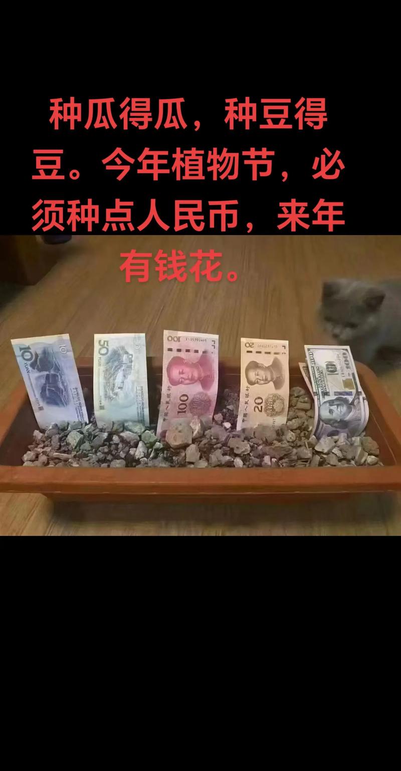瓜币是什么？揭秘瓜币的详细报道与功能说明