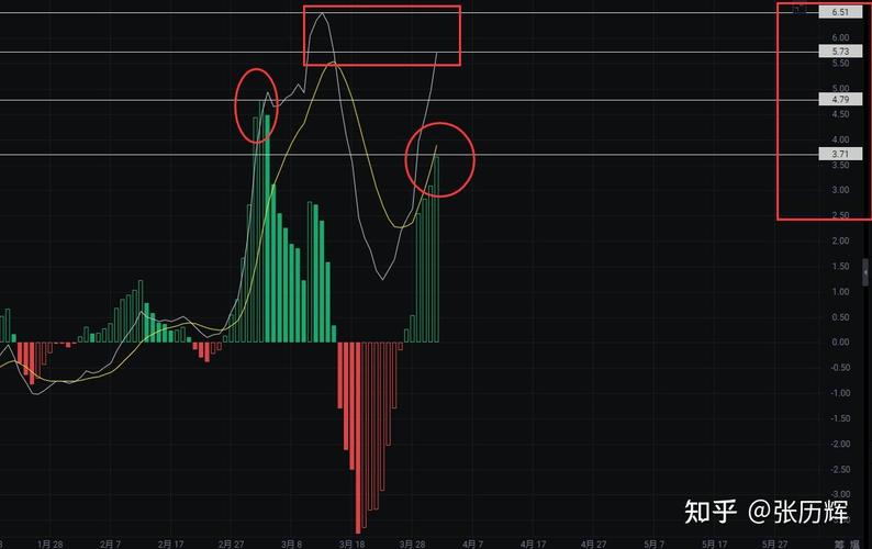 LTC行情解读，最新动态与未来趋势分析