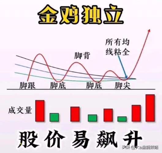 Bullcoin币种解析，新兴加密货币的崛起与风险