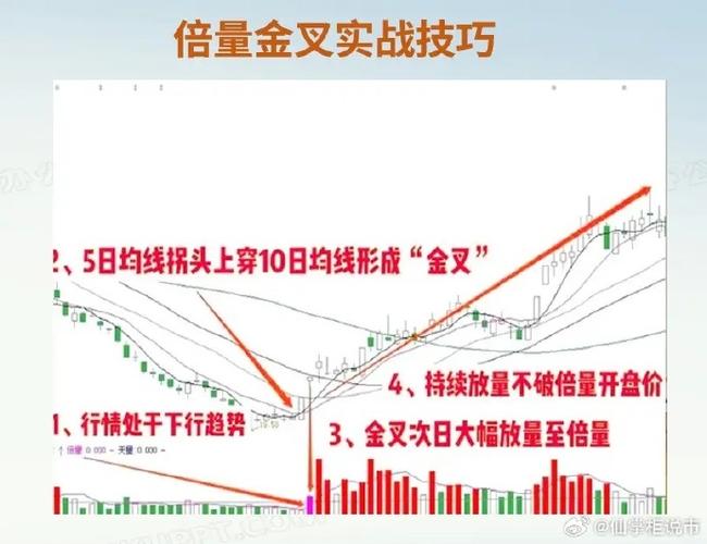 TRX行情分析,最新动态与投资策略详解