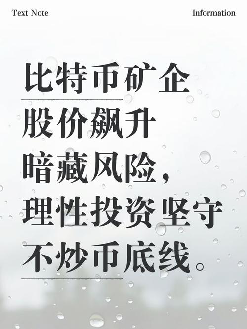 比特币风险吗：比特币风险大吗?