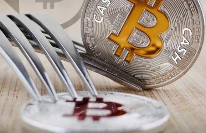比特币现金（BCH）最新动态，技术升级与市场前景分析