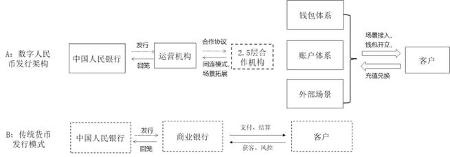 揭秘垃圾币，数字货币市场的风险与监管挑战