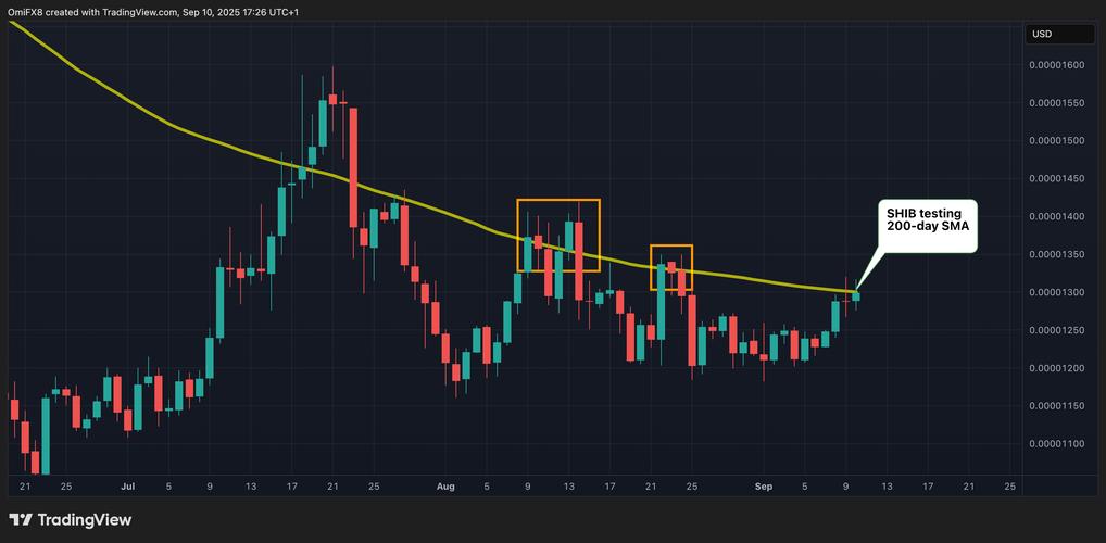 SHIB币值分析,狗狗币的崛起与市场前景展望