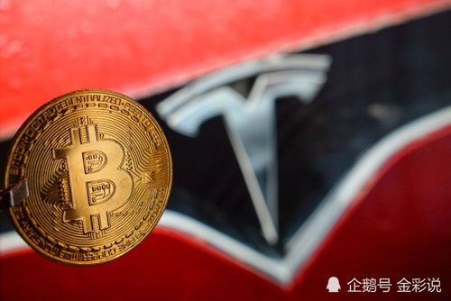 比特币投资论文：比特币投资论文题目