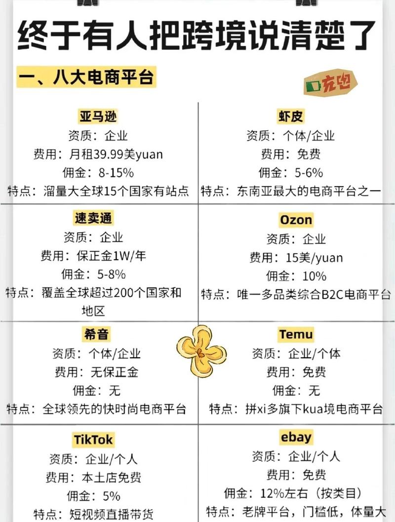 国数网交易平台深度解析，功能与优势全解读