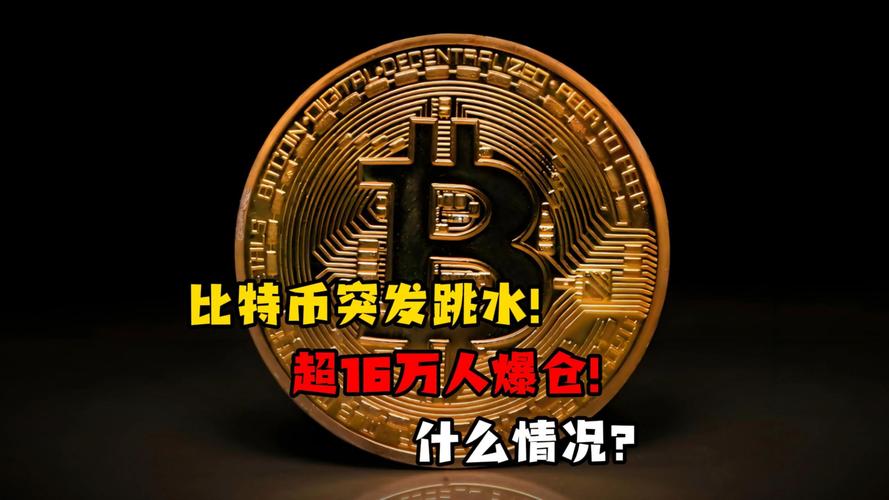 最大比特币：最大比特币案