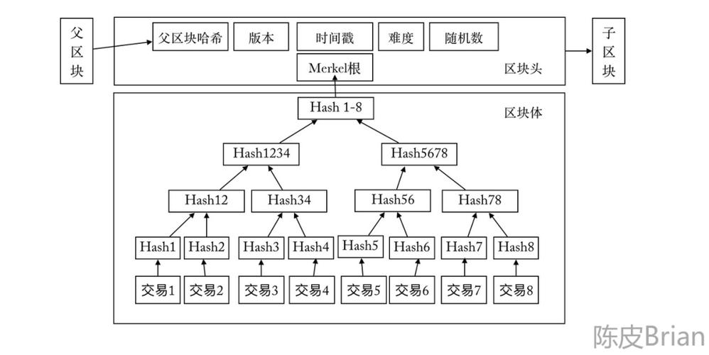 深度解析LTC教程，最新版块链技术与应用详解