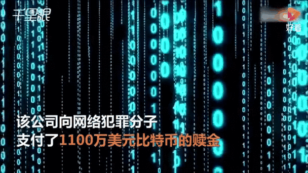 比特币监管政策解析，全球动态与我国应对策略