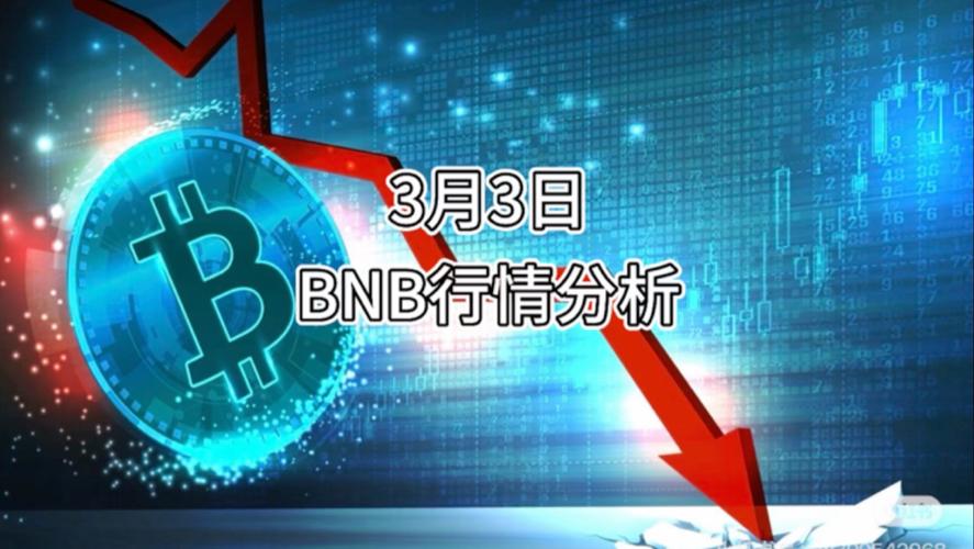 BNB币评测，火币平台新宠，投资潜力解析与最新动态