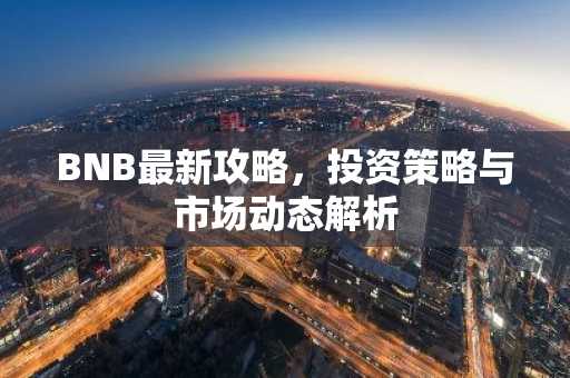 BNB最新攻略，投资策略与市场动态解析