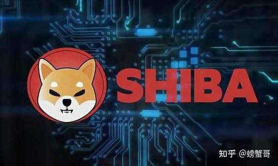 深度评测，正版SHIB币价值与潜力分析