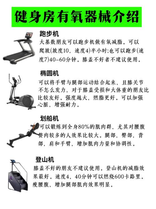 最火TRX训练器材，详解其原理与训练效果