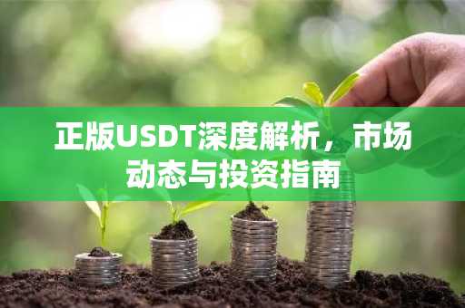 正版USDT深度解析，市场动态与投资指南