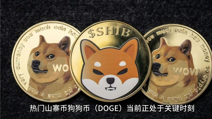 最火DOGE评测，加密货币狗币的未来与潜力深度解析
