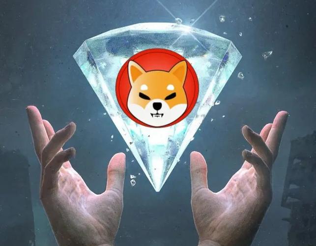 SHIB币最新攻略，投资与收藏指南全解析