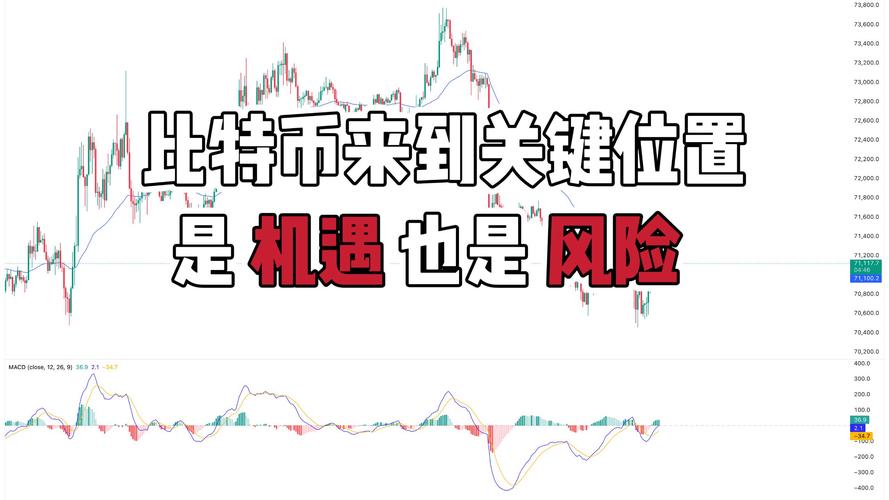 OK平台比特币交易深度解析，合规与机遇并存