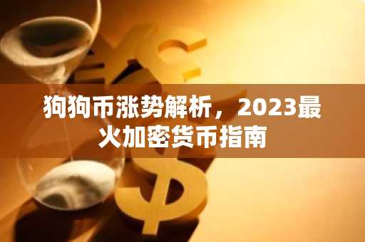 狗狗币涨势解析,2023最火加密货币指南