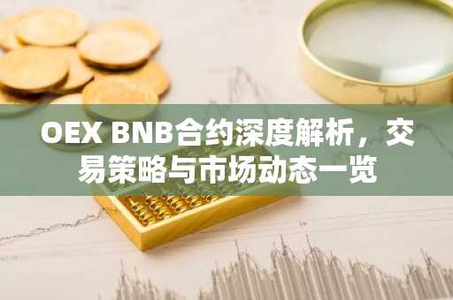 OEX BNB合约深度解析，交易策略与市场动态一览