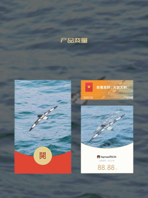 欧亿ADA合约解析,深度解读与市场动态