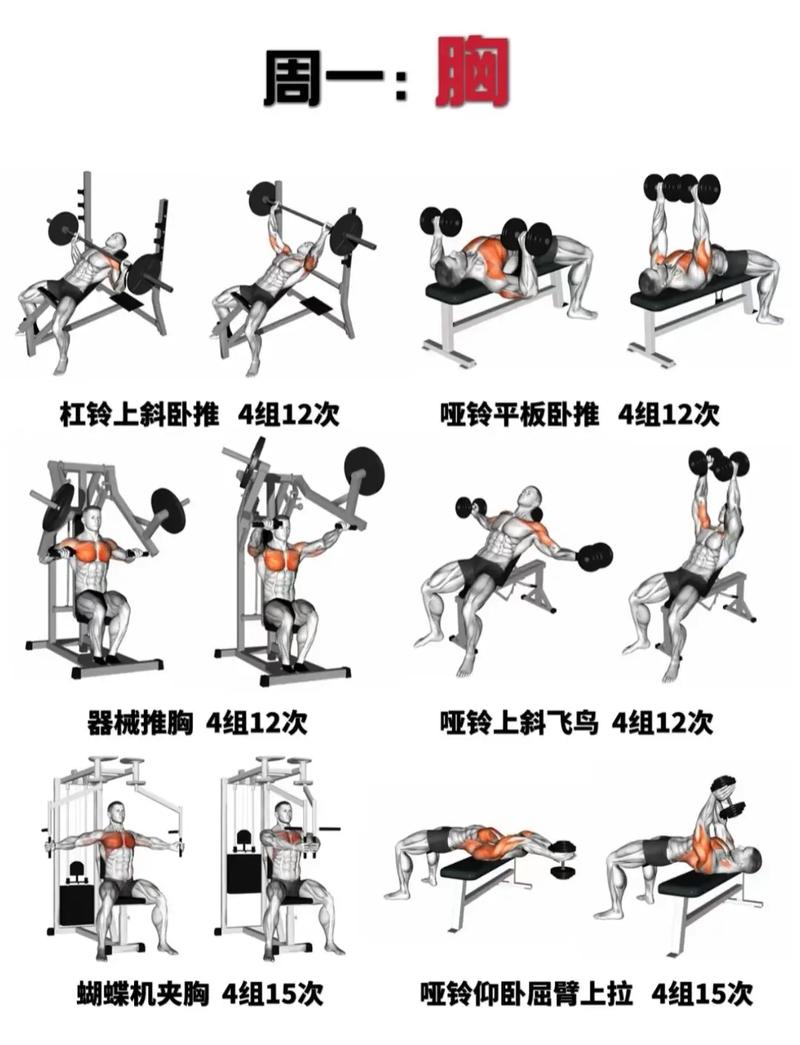 TRX训练体系全面解析，运动原理与训练技巧深度剖析