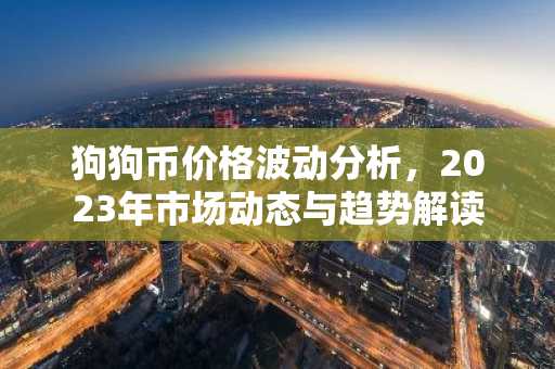 狗狗币价格波动分析，2023年市场动态与趋势解读