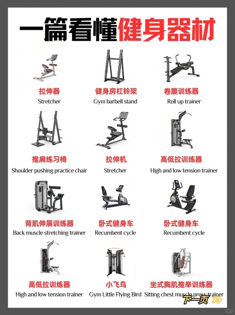 TRX训练全攻略热门健身器材使用技巧详解