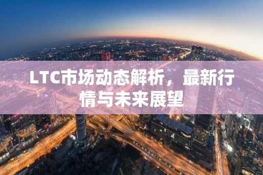 LTC市场动态解析，最新行情与未来展望