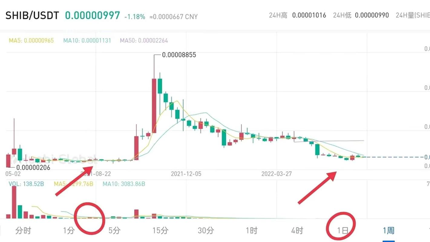 2023最新SHIB币教程，全面解析SHIB币的投资与交易技巧