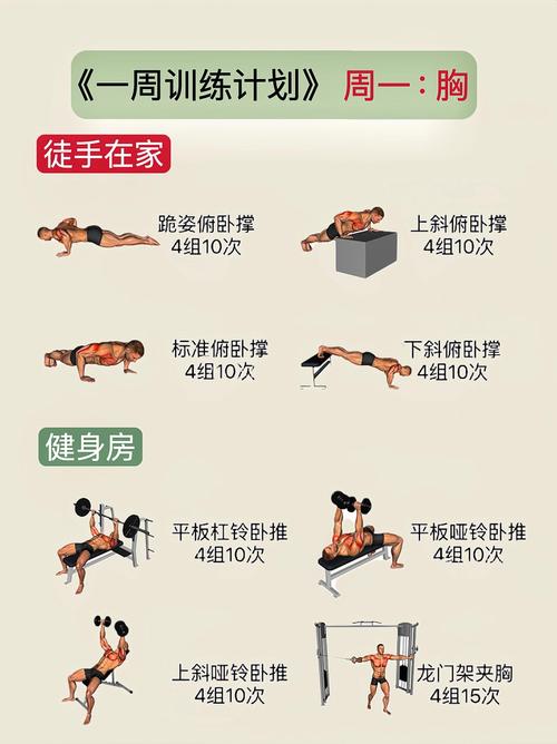 最全TRX训练教程掌握核心动作，提升全身力量与耐力