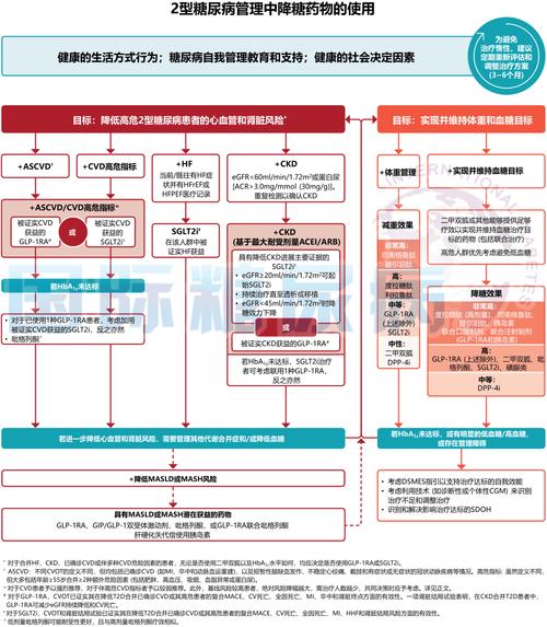 最新ADA糖尿病指南解读，关键更新与临床应用