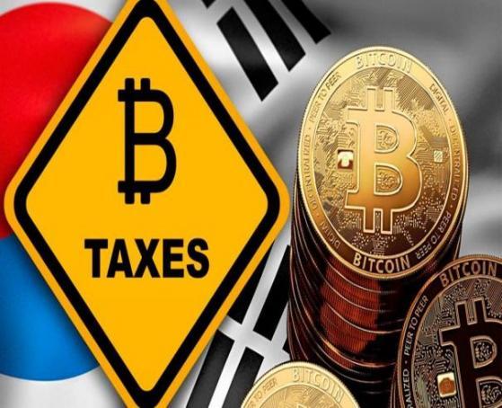 欧可易炒卡尔达诺攻略，新手必看炒币技巧与风险提示