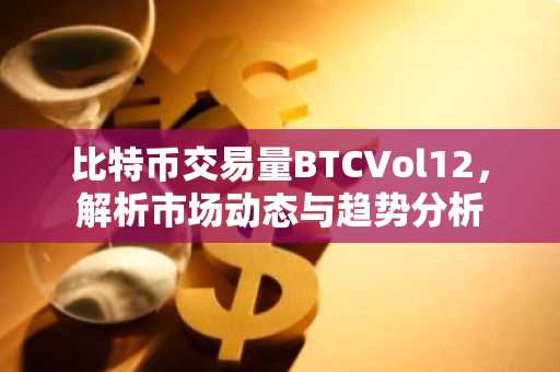 比特币交易量BTCVol12，解析市场动态与趋势分析