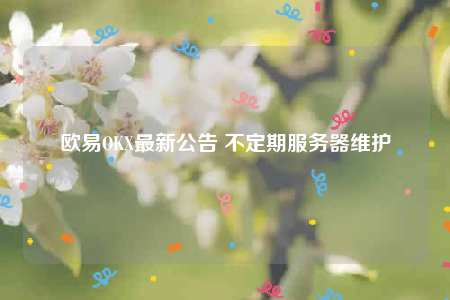 binance官方网站最新公告 不定期服务器维护