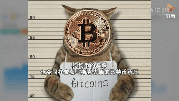 比特币（BTC）价格波动解析及市场动态一览