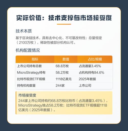 BTC支付开发攻略，技术解析与市场前景