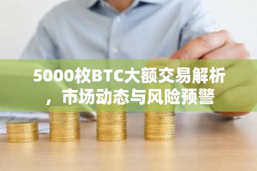 5000枚BTC大额交易解析，市场动态与风险预警