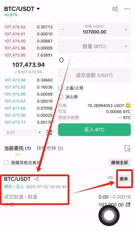PayPay购买BTC指南，安全便捷的加密货币交易