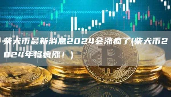 柴犬币最新消息2024会涨疯了 - 柴犬币2024年将疯涨!