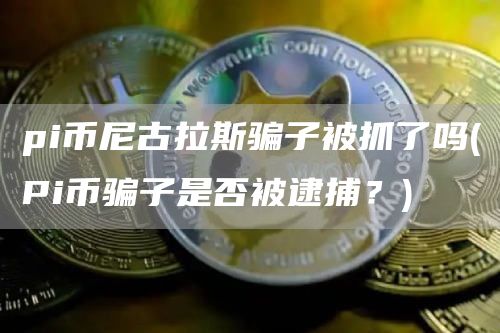 pi币尼古拉斯骗子被抓了吗 - Pi币骗子是否被逮捕?