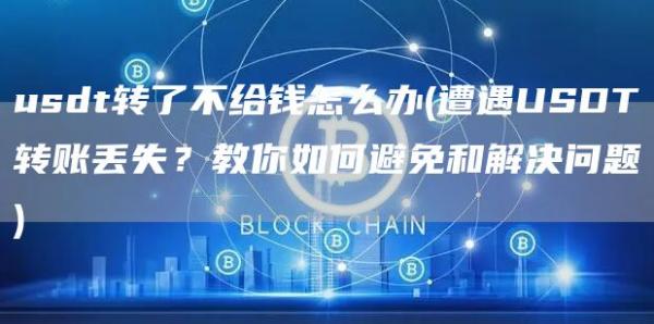 usdt转了不给钱怎么办 - 遭遇USDT转账丢失?教你如何避免和解决问题
