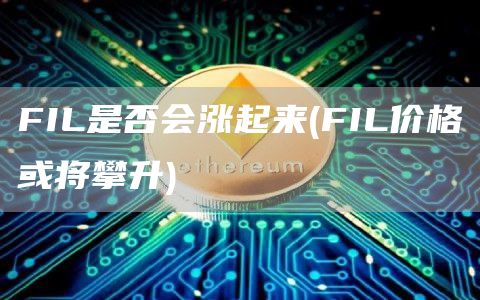 FIL是否会涨起来 - FIL价格或将攀升