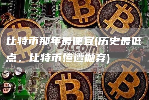 比特币那年最便宜 - 历史最低点,比特币惨遭抛弃